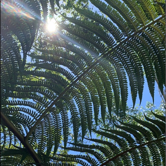 Meet your Posher, Christine - Picture 2 of 2